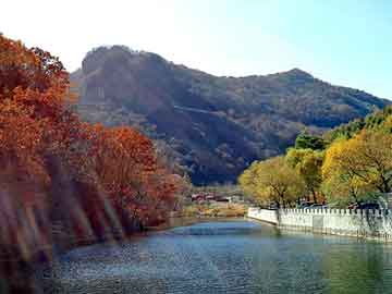 新澳门二四六天天彩，导电银浆厂家